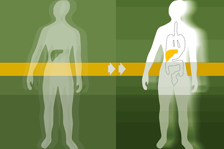 肝脏解毒能力不好的表现,肝脏排毒功能差的人症状