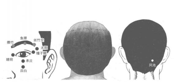 突然眼花模糊看不清按什么穴位,眼花视物重影按压什么穴位