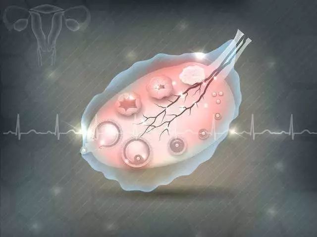 “宝贝,妈妈历经艰辛只为遇见你!”揭秘试管婴儿培育全过程