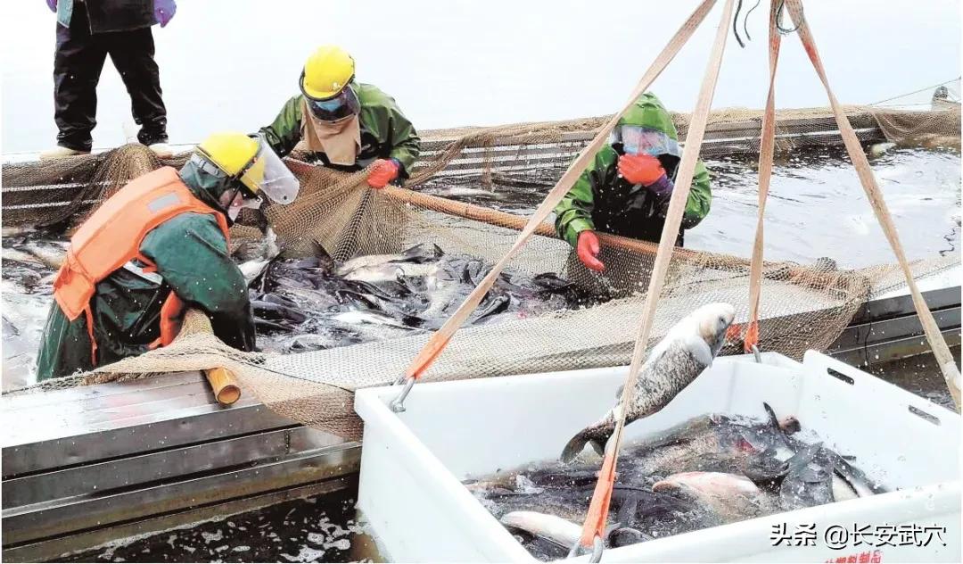 鐗㈣鍢辨墭鎰熸仼濂嬭繘鍥界敾,鐗㈣鍢辨墭濂嬪姏涔﹀啓宕柊绛斿嵎缃戣瘎