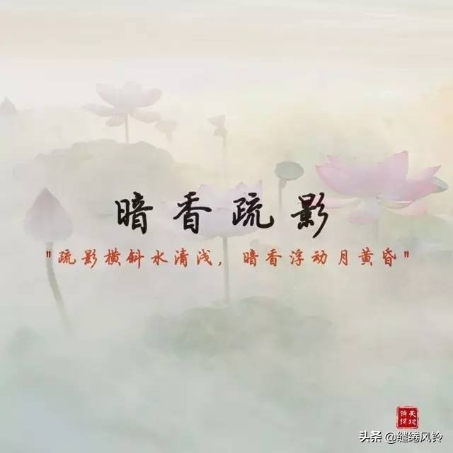 含有暗香的古诗成语,古诗词中的绝美成语