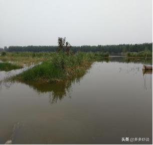 水产养殖新模式,微山湖虾蟹混养