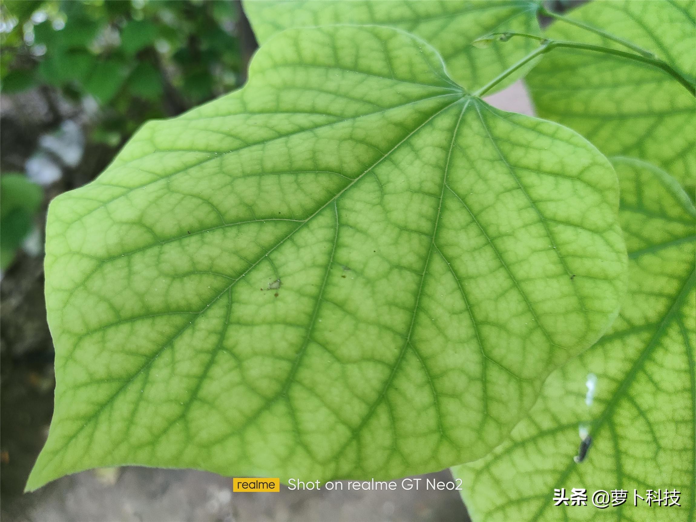 gtneo2优点,真我gtneo2t和真我gt大师哪个好