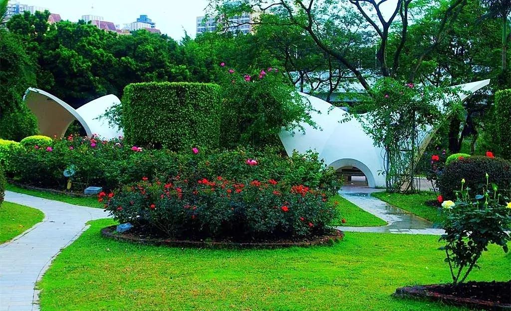 深圳建市四十周年,深圳市建市40周年从什么时候开始