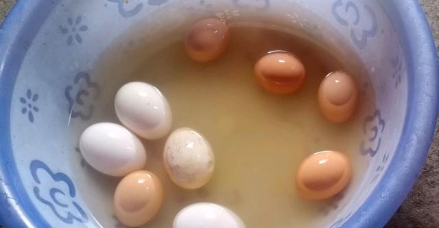 养鸡的利润与成本真实科普,现在养鸡的成本和利润大概是多少