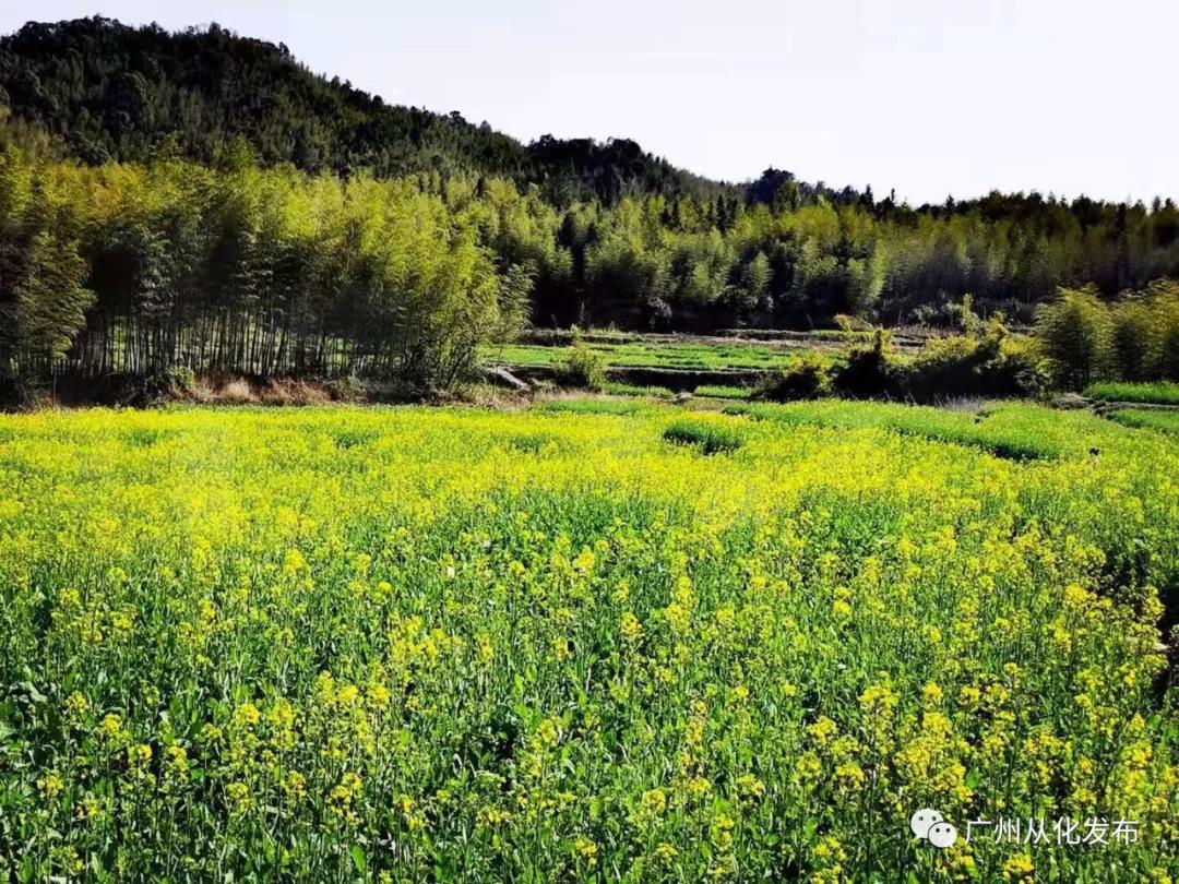 从化吕田美食攻略,从化吕田特色美食有哪些