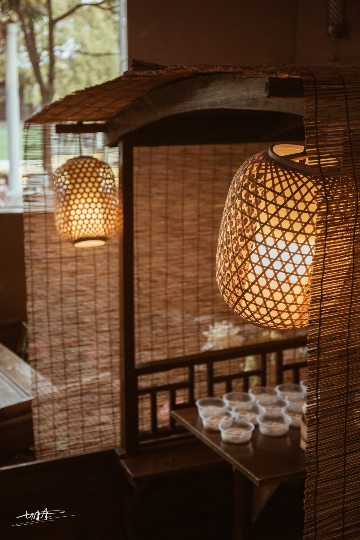 泰州早茶一茶三点一面推荐,在泰州吃特色早茶的真实原声视频