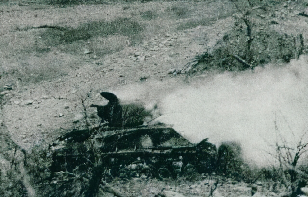 三个月搞出的山寨货，比正品还好用，志愿军手中的51火啥来头？