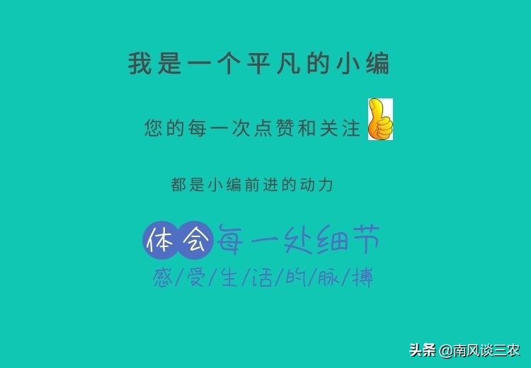 8千一斤的鱼，如今跌到400一斤，人称“凤尾鱼”