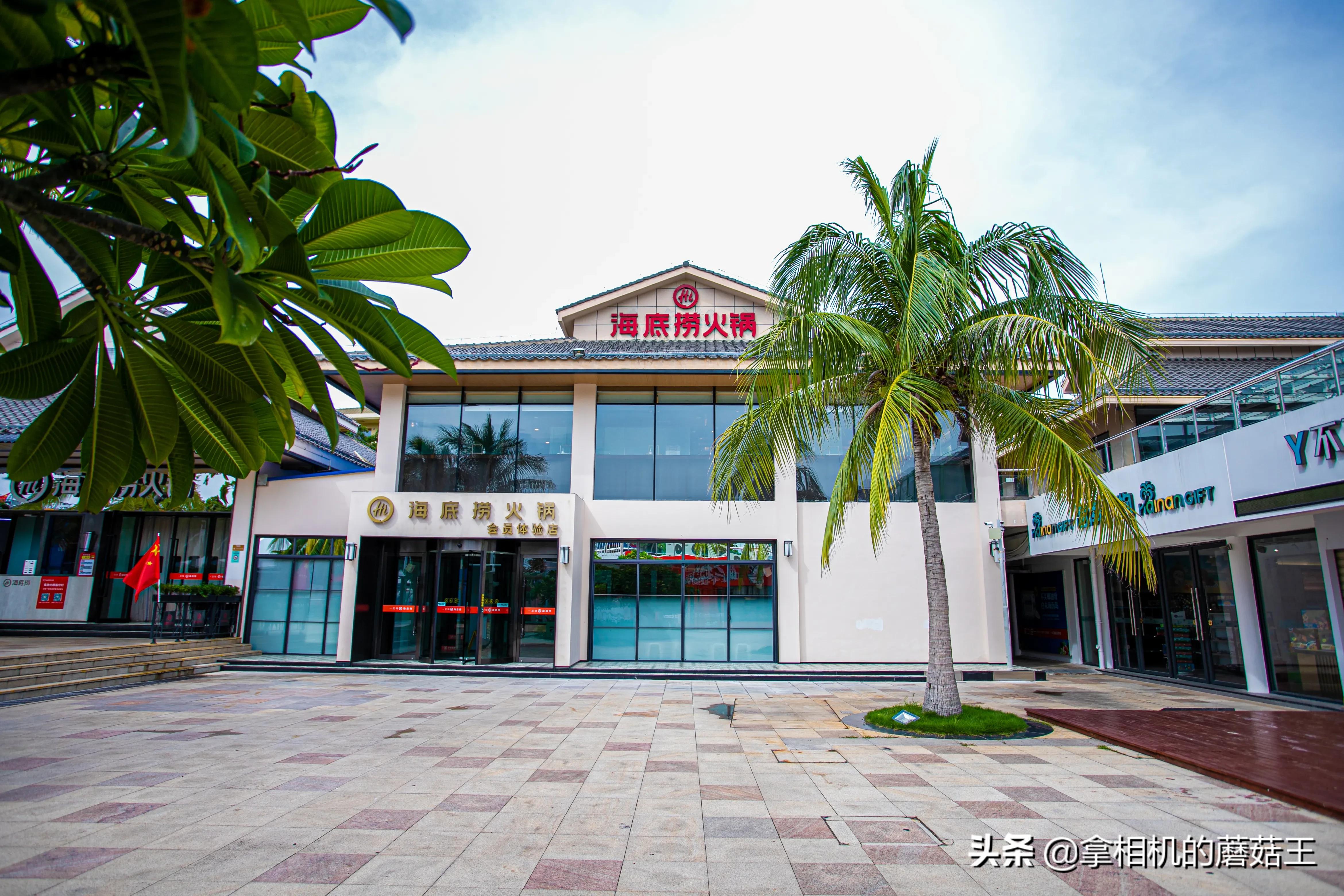 三亚亚龙湾热带天堂森林酒店,三亚亚龙湾住宿推荐3晚