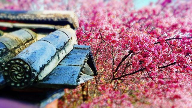 想念你山水倾城：因有过心中桃源，爱上这烟火人间