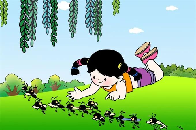 “蚂蚁搬家要下雨”不靠谱?看看蚂蚁的生活习性就知道是谁浅薄了