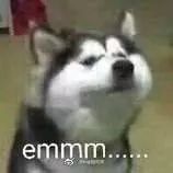 各个明星谈刘德华,被艺人称赞的刘德华