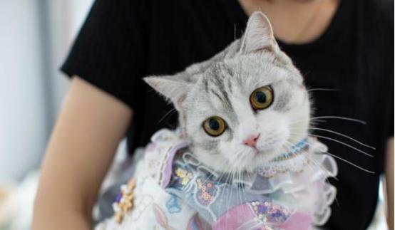 成功人看什么都是商机,意识到商机的人早已不再抱怨