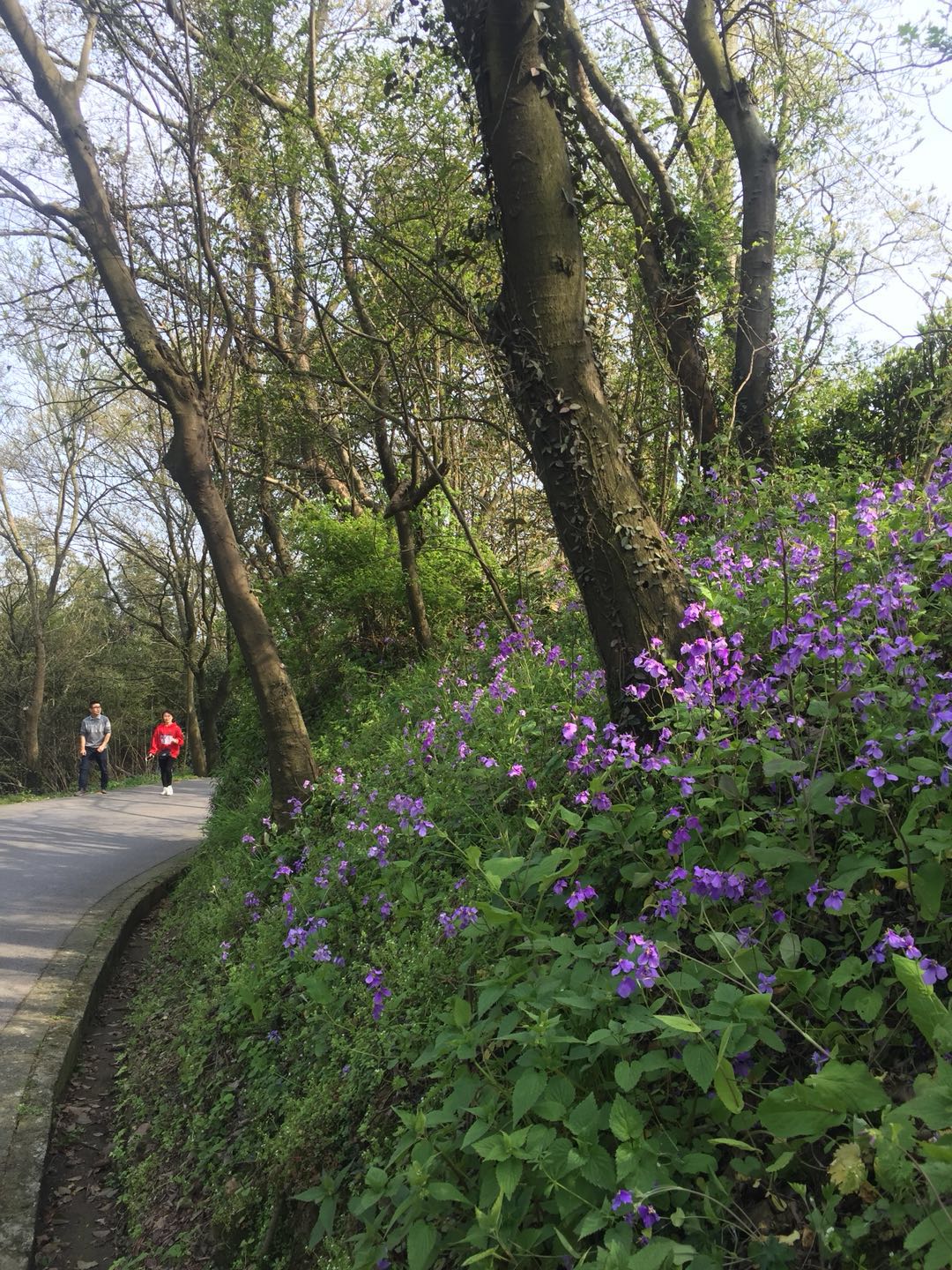 苏州穹窿山旅游攻略,苏州穹窿山景区攻略图