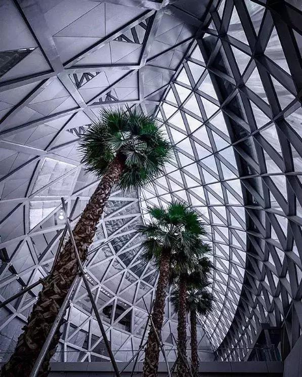 耗资85亿，把瀑布、热带雨林搬进机场！樟宜机场终于要开放了
