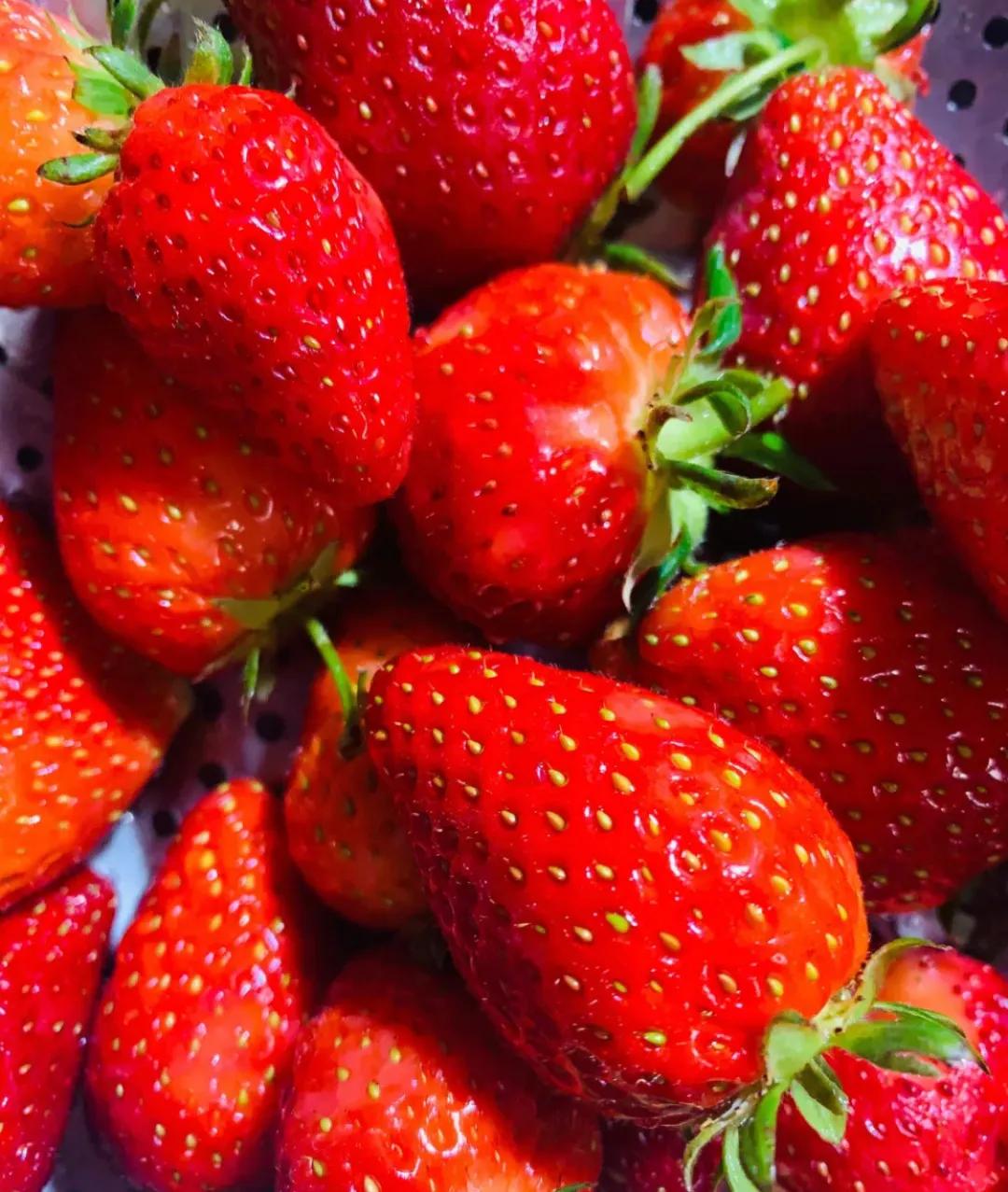 一个不出郑州的踏青好去处,天津春游公园推荐