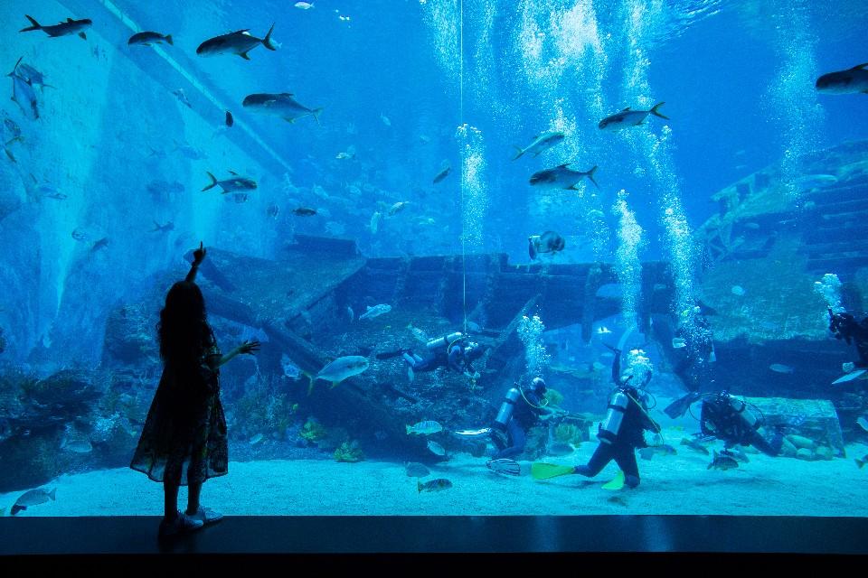 新加坡旅游攻略自由行多少钱,新加坡自助