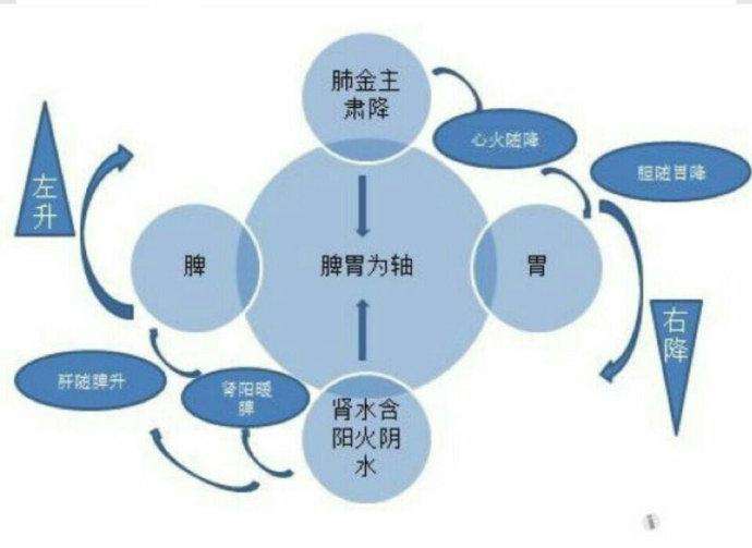 身体上出现大圈圈,人体里面有个小圈