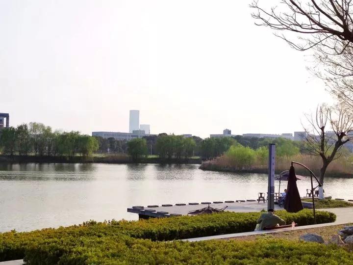 泰州学院和贵州师范大学,四十六所高校