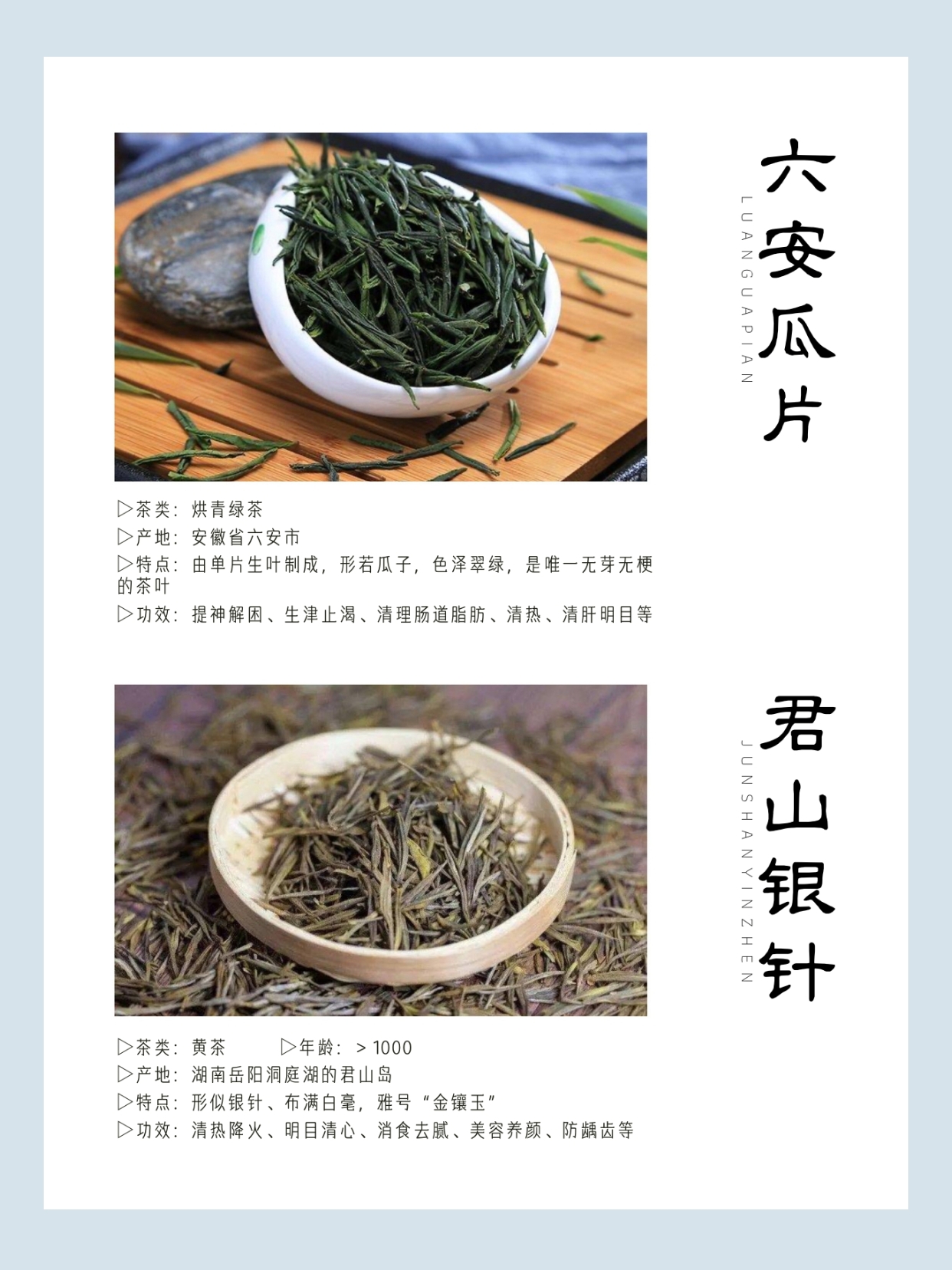 顶级白茶照片中国十大名茶,中国十大名茶中哪些是绿茶