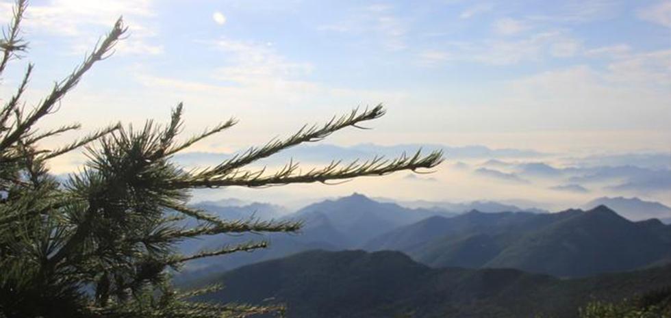 承德雾灵山农家院排行榜｜友家大院｜好评最多的民宿