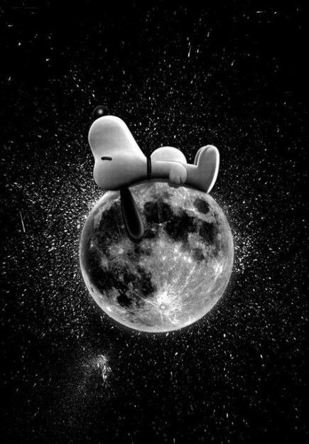 可爱狗狗舔屏壁纸,史努比壁纸手机超清全面屏