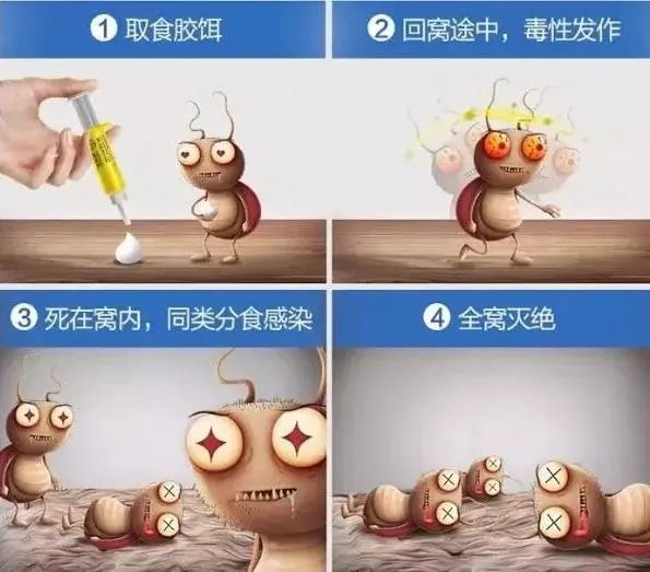 家里蟑螂多用什么方法灭蝇效果好,除蟑螂家用灭蟑神器