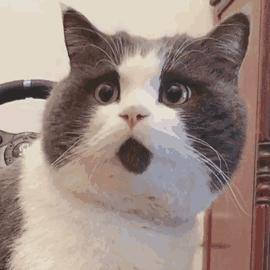 非法卖笑气5人被公诉后获刑,卖笑气被拘涉嫌非法经营