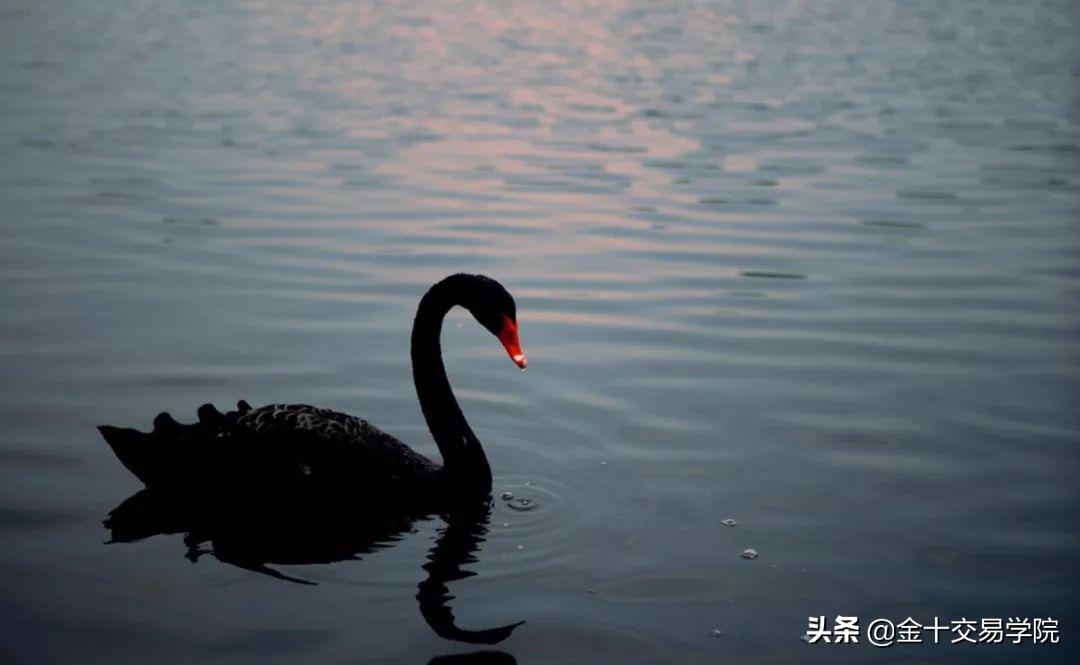 怎么了解外汇市场,怎么快速了解外汇市场