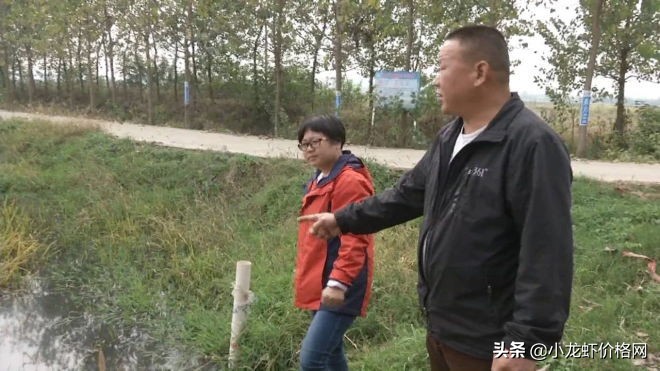 小龙虾进笼死与偷死的病因区别,小龙虾进地笼没活力死是什么情况