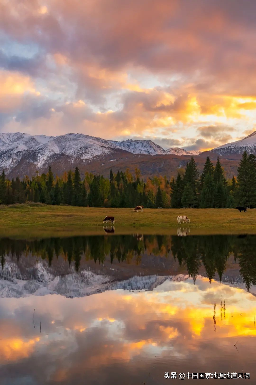 中国夏天地图全图,中国秋色地图