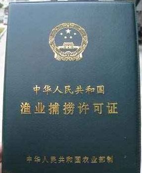 渔民出海捕鱼视频教程,渔民出海打鱼全过程