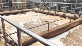 小米开始造碳版鞋,小米自研的鞋子