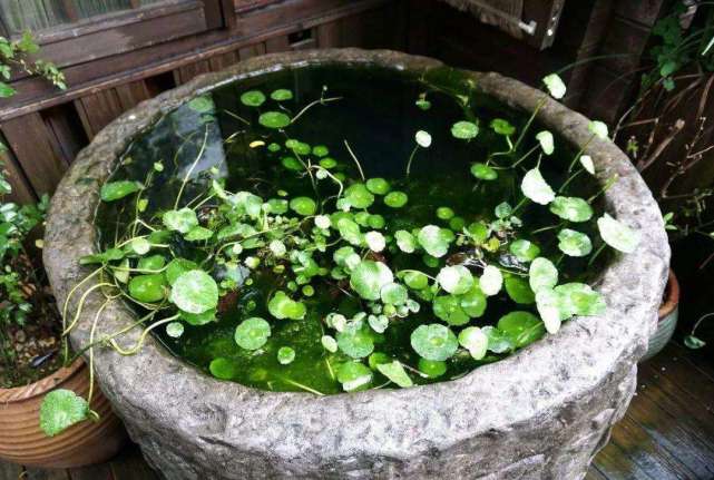 农村废旧大缸的用途,农村的大缸还值钱吗