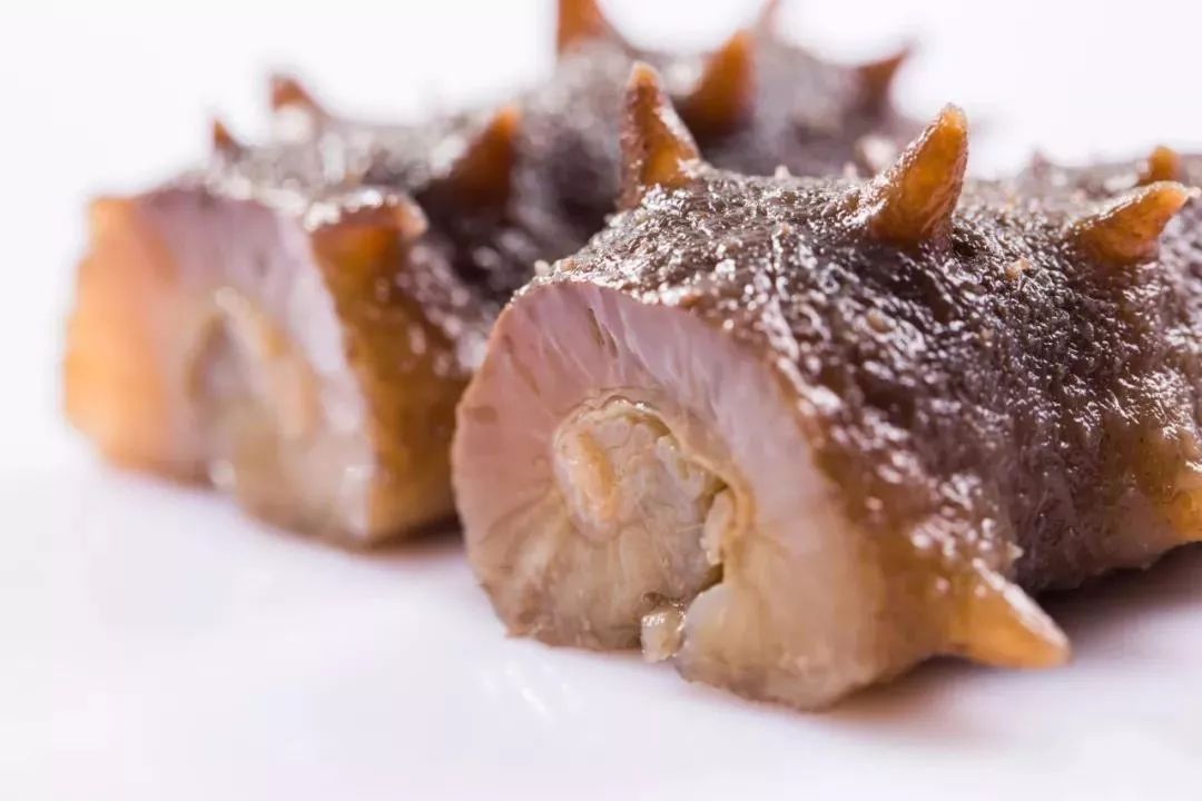 怎样辨别海参的质量好坏,好海参与一般海参的区别在哪里