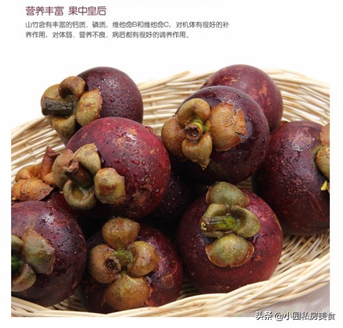 新鲜山竹水果怎么挑,现采摘新鲜山竹怎么挑选