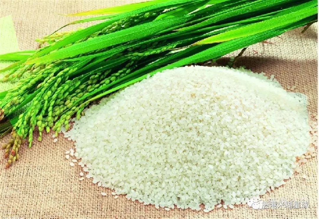 台湾米糊企业向湖北宝宝免费赠送30天米糊