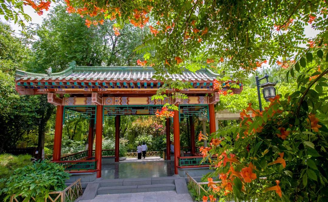 在济南花式避暑，一见“清”心！只需一瞥，便足以把酷夏原谅…