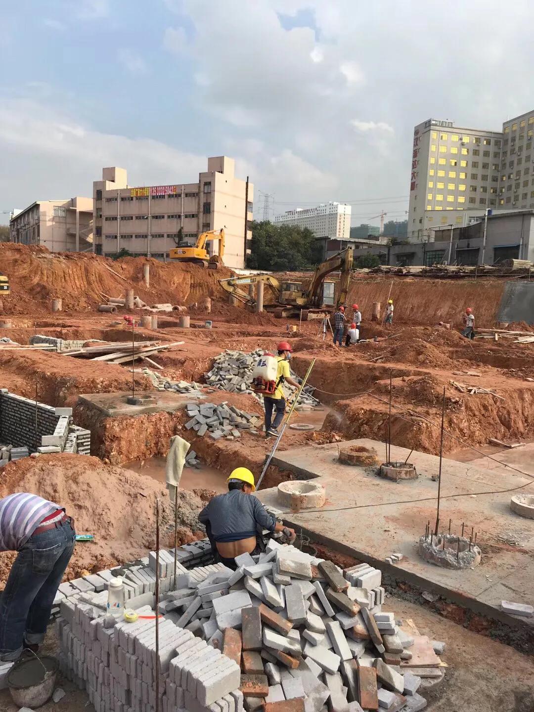 木地板如何预防白蚁,建筑工地的白蚁预防