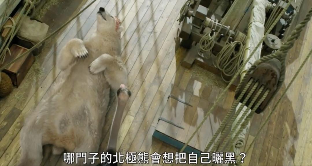 影院复业后你最想看哪部电影,带儿童去影院观看的电影推荐