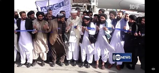 王冰冰李佳琦带货阿富汗松子,李佳琦王冰冰卖松子