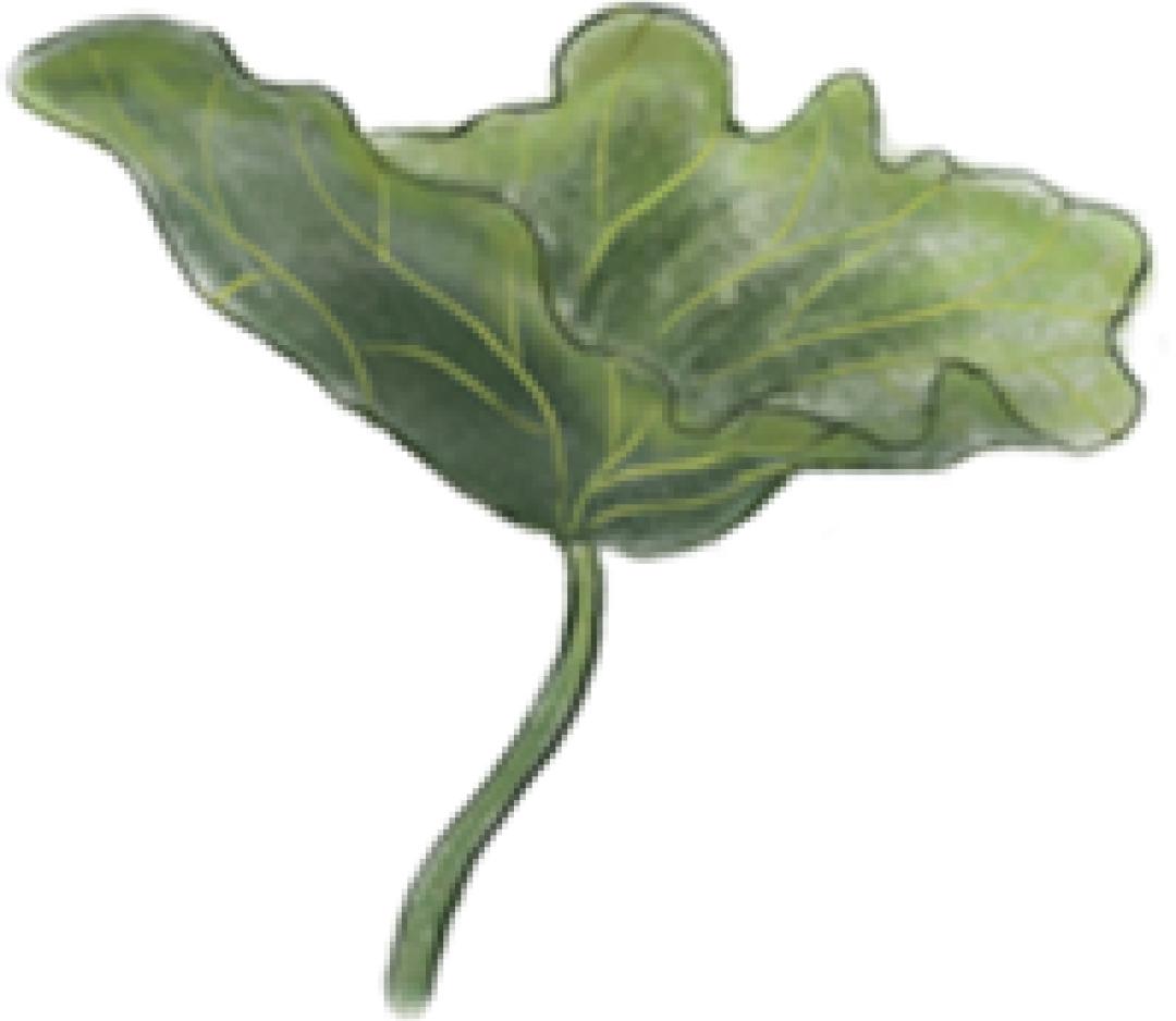 男人护肤的正确步骤,真实有效的护肤产品