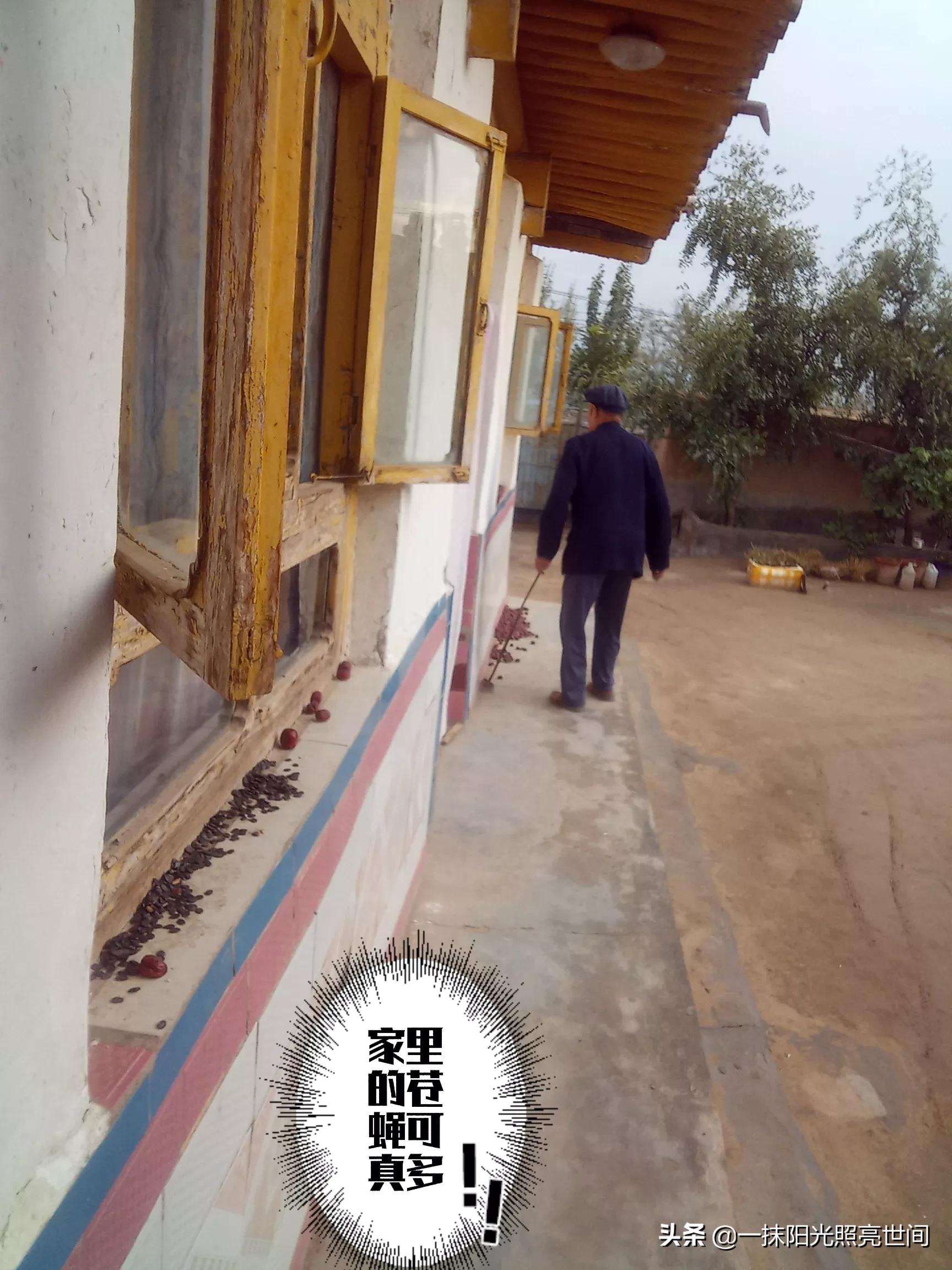 农村生活有几个人能懂,农村你了解多少