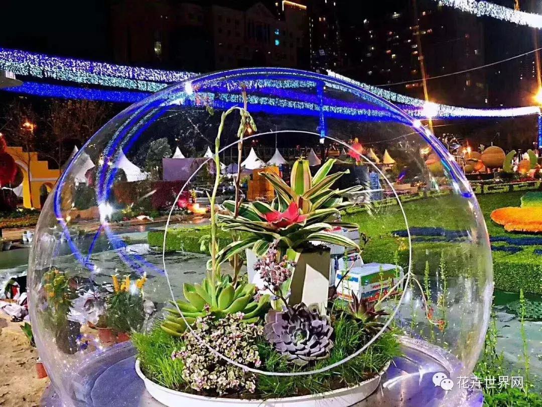 共赴盛会活动,香港国际花卉展