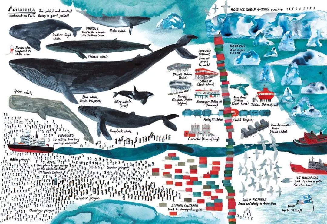 童真稚趣,稚拙童趣天真