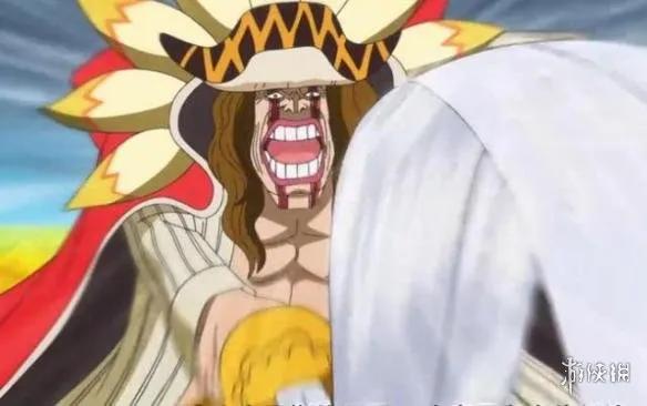 海贼王机械甲,海贼王里特殊的武器