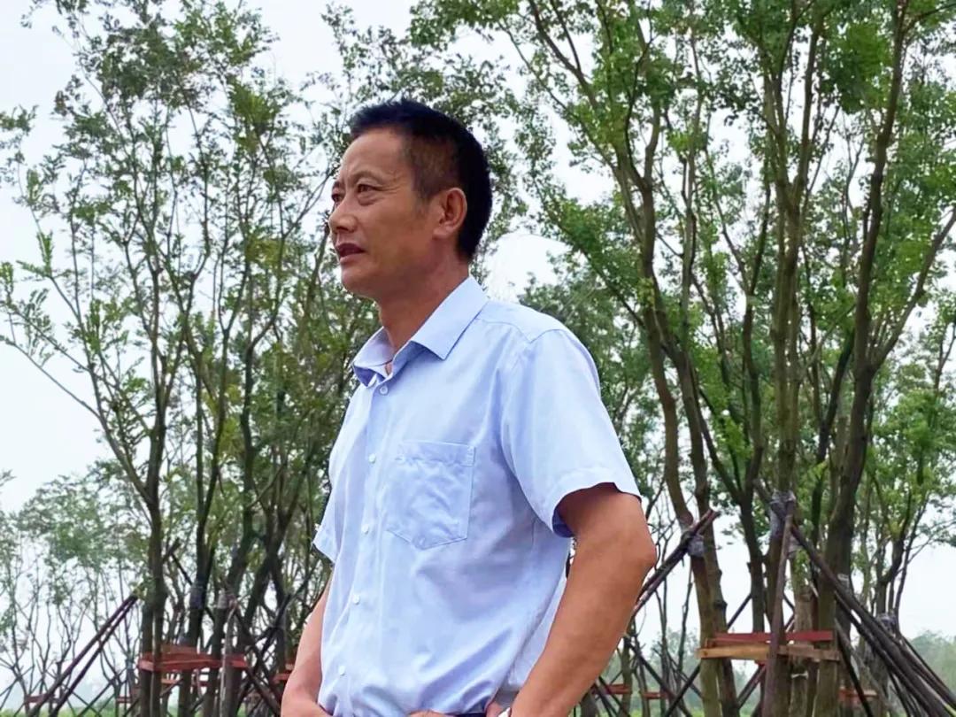 一位苗木种植者的自述：下辈子不再做苗木了