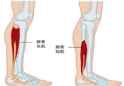 请查收你的养生小tips,秋冬骨病养生知识大全
