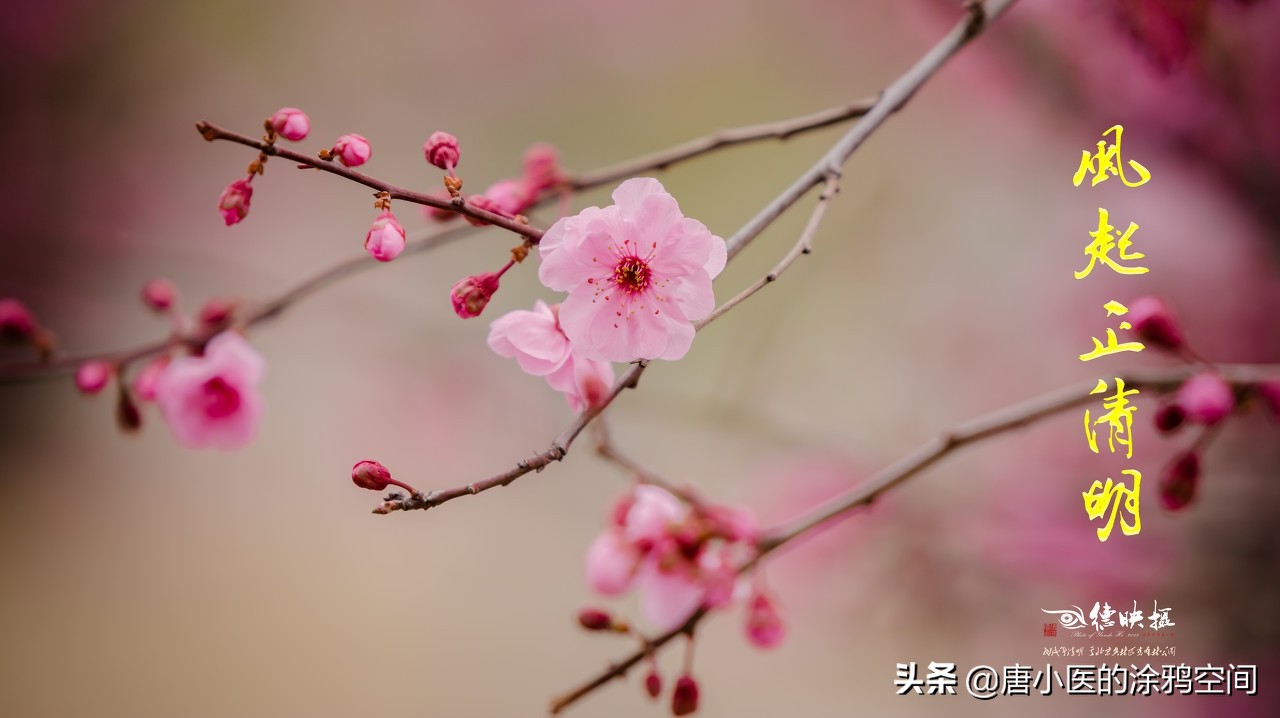 清明节孕妇可以旅游吗,清明节孕妈